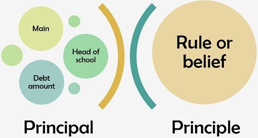 Principal vs Principle 